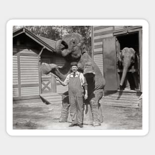 Central Park Zoo Elephants, 1915. Vintage Photo Magnet